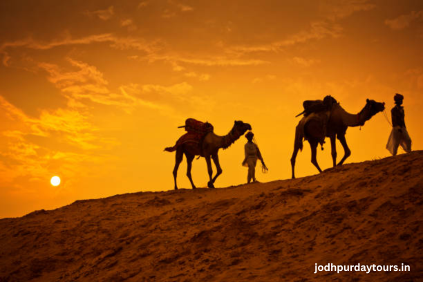 Visit To Pushkar Desert - camel Festival Ajmer Pushkar