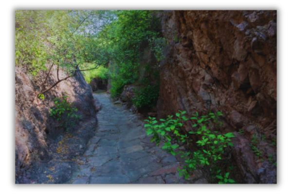 rao jodha desert rock park